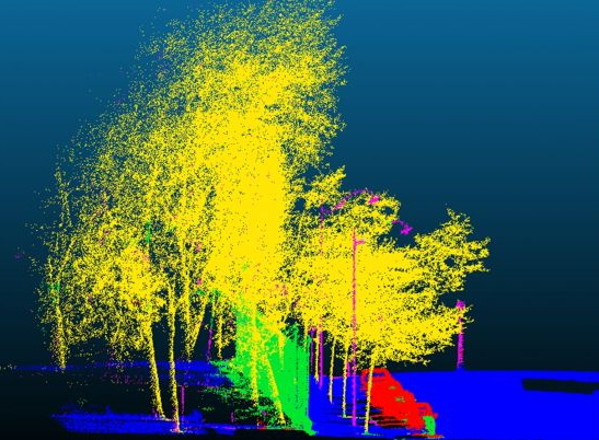 Classification of highly dense 3D point clouds out of LiDAR systems ...